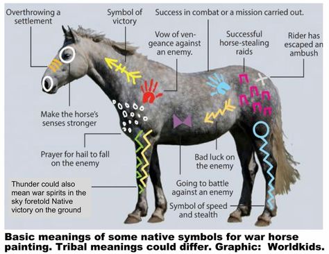 Horse Costumes For Horses, Native Symbols, Horse Halloween Costumes, Horse Halloween, Horse Costume, Indian Horses, Horse Facts, Horse Info, Painted Ponies