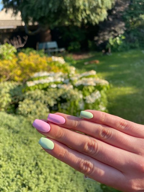 Pink and green pastel square nails by dixie.digits on instagram Pastel Square Nails, Simple Pink And Green Nails, Pink And Green Square Nails, Pastel Pink And Green Nails, Pale Pink And Green Nails, Green And Purple Nails Pastel, Purple And Green Nails Acrylic Pastel, Pastel Square, Green Pastel