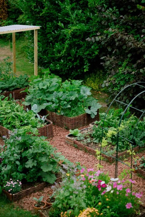 Transforming My Empty Backyard into a Heavenly Vegetable Garden — HER 86m2 - by Thuy Dao Her 86m2 Garden, Rustic Vegetable Garden, Her86m2 Garden, Umbrella Bouquet, Backyard Kitchen Garden, Cotswolds House, Barbie Pets, Thuy Dao, Her 86m2