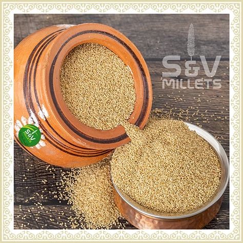 S&V considers little millet a "positive millet" (downloaded 2023/3/18) Millet Benefits, Grains List, Kodo Millet, Food Illustration Design, Pearl Millet, Science Crafts, Plant Pictures, Millet, Food Illustrations