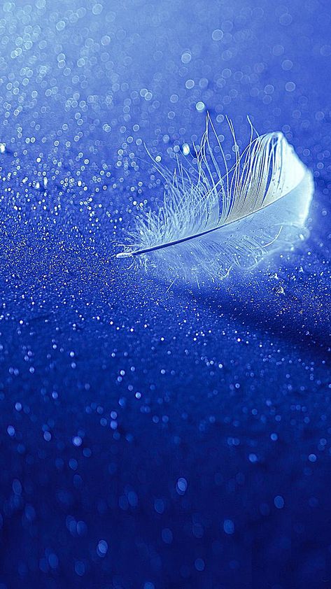 Miracle Background, Blue Feather Wallpaper, Angels Wallpaper, Feathers Wallpaper, Feather Background, Liquid Light, Blue Background Wallpapers, Cellphone Background, Feather Wallpaper