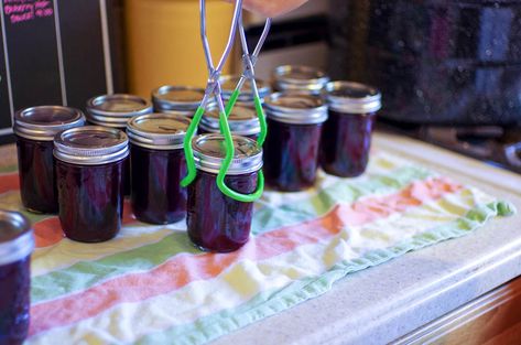 Blueberry Habañero Hot Sauce - Feeding the Famished Blueberry Habanero Sauce, Blueberry Habanero Jam, Blueberry Pepper Jelly Recipe, Blueberry Hot Sauce Recipe, Hot Sauce Canning Recipe, Habanero Jelly Recipe, Salsa Ideas, Habanero Sauce Recipe, Serrano Hot Sauce