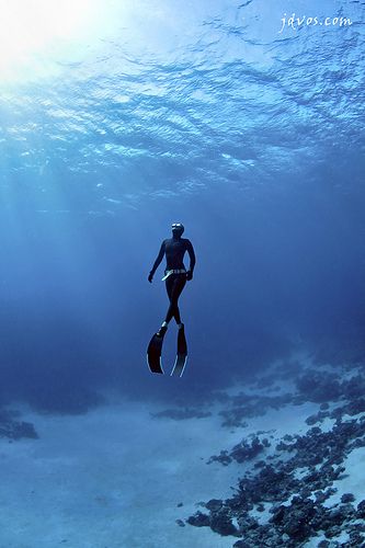 FOTOGRAFIA - Tosdos los que hemos buceado alguna vez conocermos el significado de Paz y Silencio, mas claro...Agua Scuba Diving Quotes, Scuba Gear, Deep Blue Sea, Six Feet Under, Underwater Photography, In The Ocean, Underwater World, Ocean Life, Scuba Diving