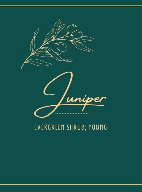 Pin by @kyleevking ✨ Juniper Name, Cleansing With Juniper, Juniper Embroidery, Juniperus Conferta, Juniper Grove Journals, Cute Names, Evergreen Shrubs