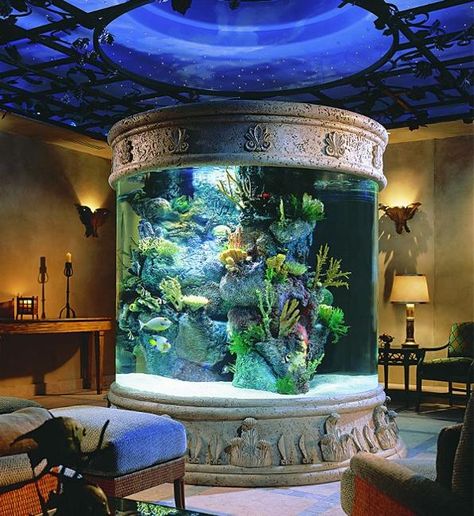 35 Unusual Aquariums and Custom Tropical Fish Tanks for Unique Interior Design Aquarium Mural, Aquarium Architecture, Amazing Aquariums, Cool Fish Tanks, Home Aquarium, Cool Fish, Aquarium Design, Marine Aquarium, Tanked Aquariums