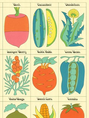 Ephemera — The Peculiar Manicule Vintage Veggies Illustration, Vintage Food Illustration, Peculiar Manicule, John Alcorn, Vegetable Illustration, Plant Illustration, Food Illustrations, Design Reference, Vintage Illustration