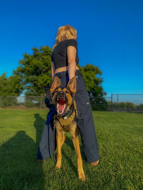 Working Dog Gear, Dog Protecting Owner, Dog Owner Aesthetic, Dog Training Aesthetic, Service Dog Aesthetic, Walking German Shepherd Aesthetic, German Shepherd Photoshoot, German Shepherd Photoshoot With Owner, Gsd Training