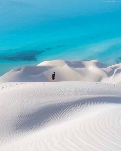 Yemen Socotra, Yemen Travel, Socotra Yemen, Socotra Island, Dragon Blood Tree, Socotra, Under The Ocean, Colorful Places, Natural Swimming Pool