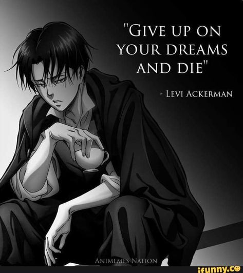 Levi Ackerman Quotes, Levi Quotes, Naruto Quotes, Give Up On Your Dreams, One Piece Episodes, Watch One Piece, Captain Levi, Man Up Quotes, Attack On Titan Funny