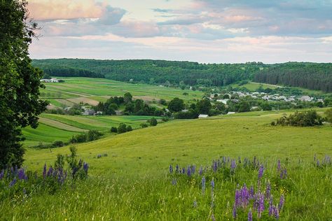 Camping With Cats, Rural Landscape, Rural Area, Eastern Europe, Beautiful Tree, Amazing Nature, Happy Places, Places To Travel, Landscape Paintings