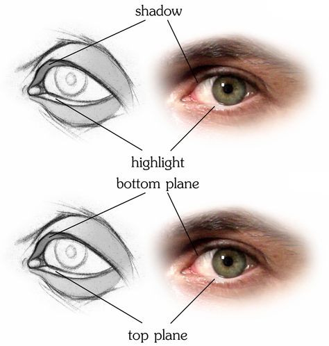 Stan Prokopenko | How to Draw Eyes - Structure Eyes Structure Drawing, Eye Structure Anatomy, Pencil Drawing Eyes, Eyes Drawing Tutorial, Eyes Inspiration, Ear Structure, Eye Structure, How To Draw Eyes, Eye Anatomy