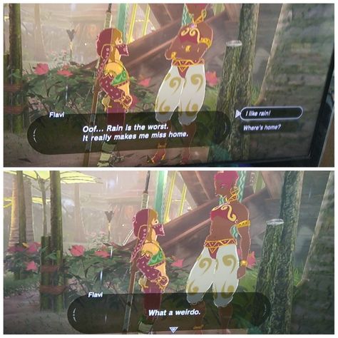 #Botw #Breath #Of #The #Wild #Rain #Like #meme #hyrule #link #gerudo Growing Up Gerudo, Botw Gerudo, Gerudo Link, Like Meme, Zelda Funny, Shigeru Miyamoto, Zelda Botw, Link Zelda, Game System