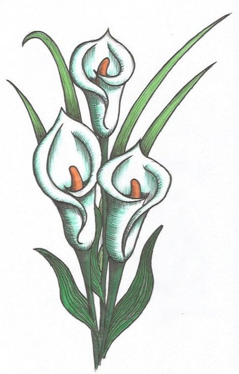 Easter Lilly Drawings, Peace Lily Drawing, Lilly Flower Drawing, Lily Drawing, Flower Rocks, Lily Watercolor, Lilies Drawing, Flower Pattern Drawing, Lilly Flower