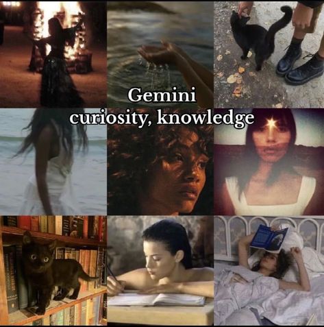 Gemini Girl Aesthetic, Gemini Core, Horoscope Aesthetic, Gemini Vibes, Gemini Aesthetic, Sagittarius Virgo, Gemini Sun, Gemini Zodiac Quotes, Venus In Gemini