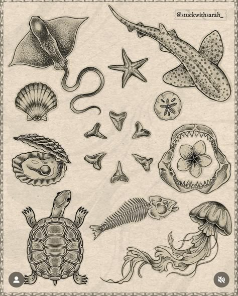 Simple Tattoos Ocean Theme, Vintage Tattoo Ideas Men, Nautical Patchwork Tattoo, Ocean Filler Tattoo Ideas, Ocean Flash Tattoo, Clamshell Tattoo, Small Filler Tattoos, Ocean Related Tattoos, Tattoo Seashell