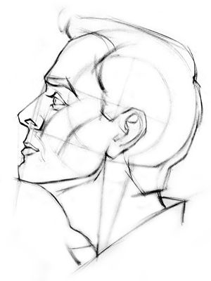 A finished side view of head drawing Side View Portrait Drawing, Men Side View Drawing, How To Draw Head Side View, Side View Of A Person, Person Side View Drawing, Side Person Drawing, Side Of Face Drawing, Side Face Drawing Male, Side View Face Reference