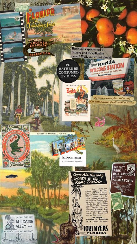 #florida #shuffle #vintageflorida #weirdflorida 70s Florida Aesthetic, Vintage Florida Aesthetic, Florida Collage, Usa Culture, Florida Aesthetic, Room Collage, Theme Wallpaper, Art 2024, Collage Wallpaper