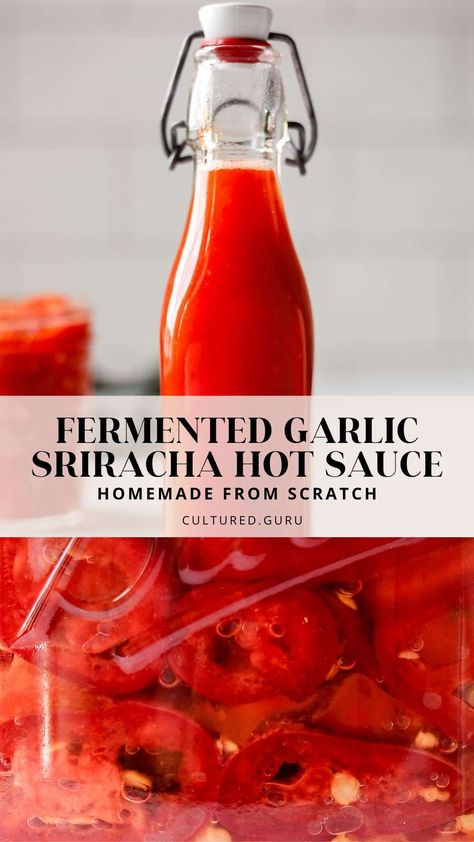 Learn how to make your own fermented garlic sriracha hot sauce at home. It's easier (and cheaper) than you think! To make sriracha you'll need red jalapenos. However, this recipe can be adapted to make garlic hot sauce with many types of hot peppers. Home Made Hot Sauce Recipe, Sriracha Recipes Homemade, Diy Sriracha, Red Jalapenos, Garlic Hot Sauce, Sriracha Sauce Recipe, Fermented Garlic, Sriracha Recipes, Fermenting Weights