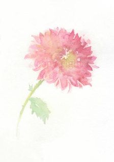 Watercolor Chrysanthemum, Chrysanthemum Watercolor, Watercolour Tattoo, Flower Chrysanthemum, Pretty Tattoo, Art Watercolor Painting, Painting Flower, Illustration Watercolor, Flowers Watercolor