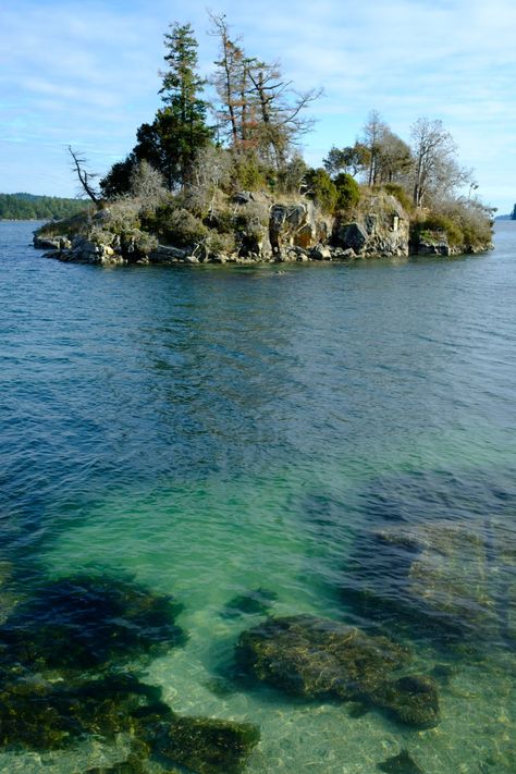 Grace Islet :)    From a blog post with   Photos from a mini trip to Salt Spring Island at the beginning of November. Enjoy the beautiful ocean views and mystic forest scenes by photographers Jelger and Tanja. Salt Spring Island Bc, Floor Inspiration, Mystic Forest, Bc Wedding, Ocean Illustration, Salt Spring Island, Ocean Eyes, Ocean Views, Beautiful Ocean