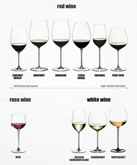 A glass for all varieties Dinning Etiquette, Table Setting Etiquette, Wine Basics, Wine Chart, Table Etiquette, Wine Knowledge, Gourmet Breakfast, Dining Etiquette, Wine Education