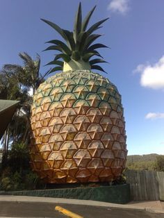 The Big Pineapple on Queensland's Sunshine Coast, Australia Big Pineapple, Sunshine Coast Australia, Pineapple Under The Sea, Fibonacci Sequence, Australia Home, Land Of Oz, Visit Australia, Roadside Attractions, Big Things