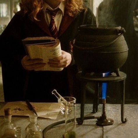 Hogwarts Visuals, Granger Aesthetic, Hogwarts Life, Hermione Granger Aesthetic, Marauders Dr, Gryffindor Aesthetic, Hogwarts Dr, Potter Aesthetic, Hogwarts Aesthetic