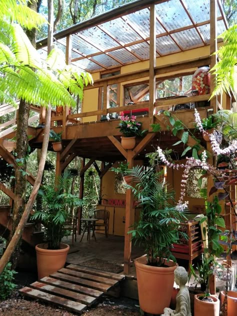 Beach Tree House, Jungle Treehouse Aesthetic, Costa Rican Homes, House In The Rainforest, Rainforest House Aesthetic, Livable Treehouse, Tropical Tree House, Treehouse Aesthetic Inside, Jungle House Aesthetic