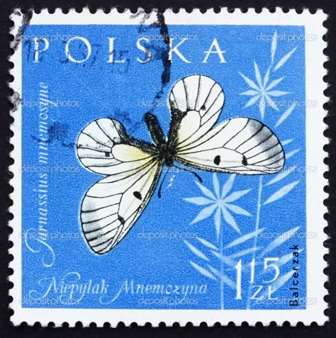 Vintage Stamps Postage, Cute Stamps, Grunge Posters, Postage Stamp Design, Sticker Organization, Postcard Stamps, Butterfly Stamp, Scrapbook Printing, Postage Stamp Art