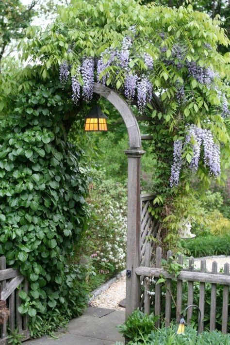 Garden Gates And Fencing, Garden Gate Design, Flowers Growing, Pergola Garden, Garden Vines, Garden Arbor, Garden Arches, Have Inspiration, The Secret Garden