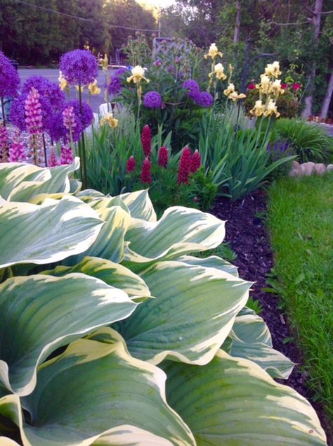 Ontario Garden, Bulbs Garden Design, Perennial Garden Design, Sustainable Garden Design, Fine Gardening Magazine, Small Front Gardens, Side Yard Landscaping, Sun Garden, Outside Patio