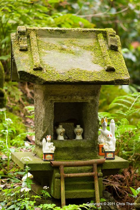 Japan Diorama, Kitsune Shrine, Rockery Garden, Japanese Shrine, Reference Photos For Artists, Shinto Shrine, Fox Illustration, Watercolor Lessons, Wreck This Journal