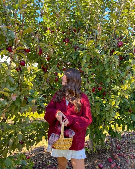 the apple to my pie🍎🧺🍁🤎 #fallaesthetic #fallvibes #falloutfit #falloutfits #fallfashion #fallseason #fallstyle #applepicking #appleorchard Apple Girl Aesthetic, Apple Picking Couple, Fruit Picking Aesthetic, Apple Orchard Outfit Fall, Apple Photoshoot, Apple Picking Photoshoot, Downtown Clothes, Apple Orchard Pictures, Outfits September