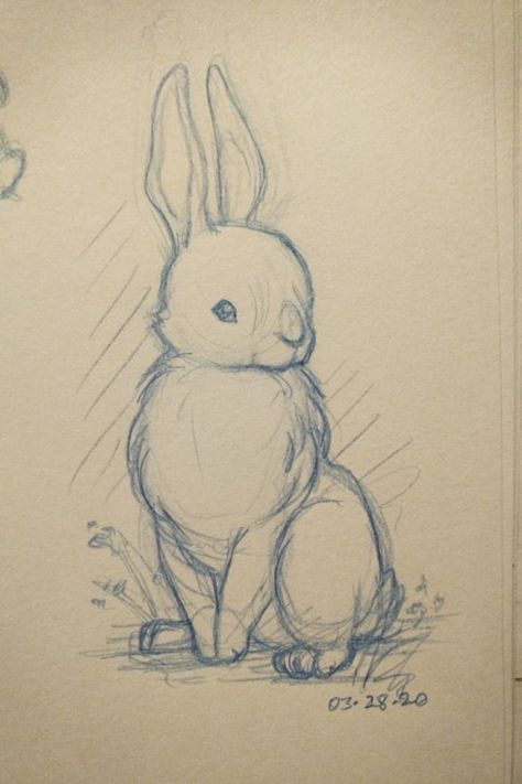 Sketch Vs Final, Bunny Sketches, Book Art Sculptures, Whimsical Art Journal, Bunny Drawing, Cute Sketches, Sketchbook Drawings, Have Inspiration, Art Tools Drawing