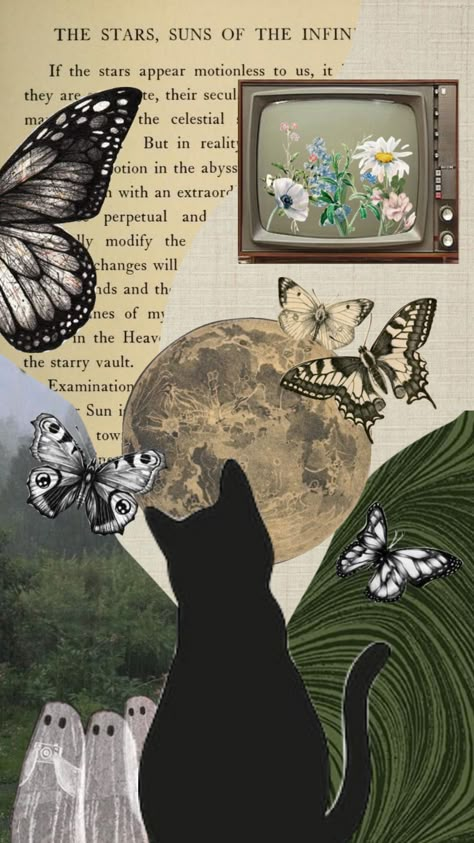 Cat And Butterfly Wallpaper, Cat Butterfly Wallpaper, Black Cat Wallpaper, Gcse Results, Spiderman Hat, Cat Nature, Nature Butterfly, Asian Wallpaper, Cat Collage