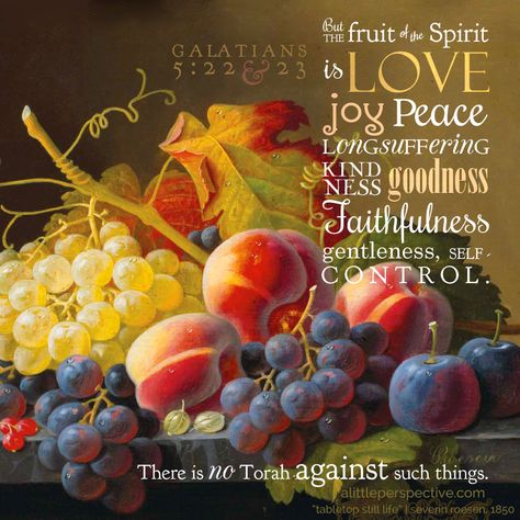 But the fruit of the Spirit is love, joy, peace, longsuffering, kindness, goodness, faithfulness, gentleness, self-control. There is no Torah against such things. Galatians 5:22-23 | scripture pictures at alittleperspective.com Pictures Of Fruit, Psalm 21, Godliness With Contentment, Galatians 5 22, Love Joy Peace, Joy Of The Lord, Scripture Pictures, Fruit Of The Spirit, August 21