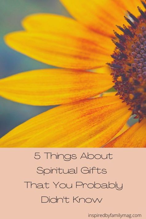 5 Things About Spiritual Gifts that You Probably Didn't Know Spiritual Gifts Ideas, Spiritual Gifts Lds, Spiritual Gifts From God, Biblical Food, Spiritual Gifts Test, Lds Handouts, Church Retreat, Family Ministry, Gifts Of The Spirit