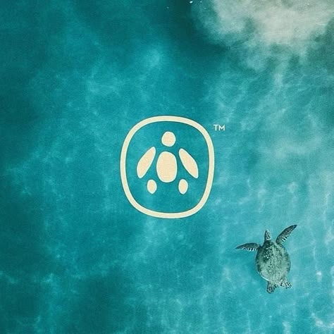 Turtle Logo, Surf Logo, Resort Logo, Whale Logo, Text Logo Design, Pet Logo Design, Turtle Art, Turtle Design, Ui Design Inspiration