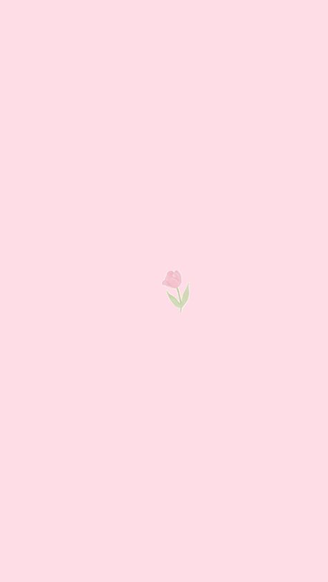 Roz Pal Wallpaper, Simple Flower Wallpaper, Pink Wallpaper Background, Baby Pink Wallpaper, Flower Wallpaper Pink, Rosé Cartoon, White Wallpaper For Iphone, Pastel Pink Wallpaper, Pink Wallpapers