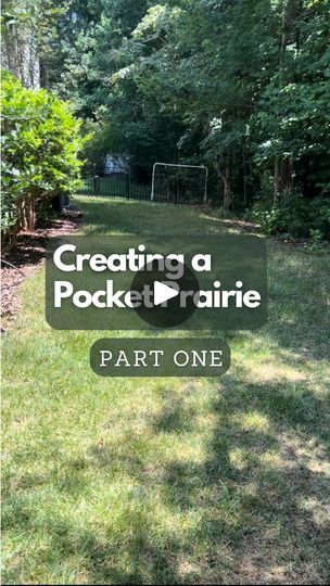 528K views · 7K reactions | How I’m turning my grass side yard into A Pollinator Pocket Prairie. 

The plan is to sheet mulch all but the pathway to get rid of the grass and use @soil3organiccompost on top of the sheet mulch in areas to plant natives. 

I’m planting two prairie seed mixes from @prairiemoonnursery (short and tall grass prairie mixes)

I can’t wait to see what it looks like in full bloom. 

I will be posting periodic updates on the progress in both feed and stories. | The Ever Hopeful Gardener | David Rose · Little House on The Prairie Pocket Prairie, Tall Grass Prairie, Regenerative Gardening, Sheet Mulching, Prairie Garden, Little House On The Prairie, David Rose, Pollinator Garden, Side Yard