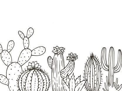 Cactus Sketch Simple, Cacti Drawing Simple, Cactus Line Art, Cactus Line Drawing, Doodles Cactus, Cactus Garden Drawing, Cactus Bullet Journal, Cactus Drawing, Doodle Art Flowers