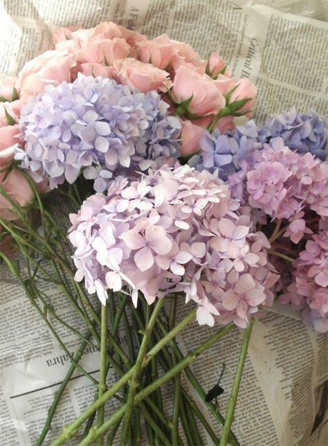 Tattoo Plant, Spring Floral Arrangements, Wedding Bouquets Pink, Purple Wedding Flowers, Hydrangea Purple, Pink And Purple Flowers, Pink Wedding Flowers, Pink Hydrangea, Trendy Flowers