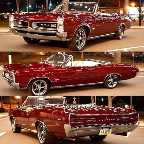 Pontiac GTO – First America’s Original Muscle Car Classic Cars Chevy, Old Vintage Cars, Pontiac Lemans, Pontiac Cars, Vintage Muscle Cars, Cars Muscle, Car Aesthetic, American Classic Cars, Classy Cars