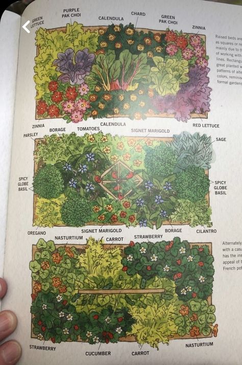 Garden Planning Layout, Food Forest Garden, Edible Landscape, Plant Friends, Sacred Garden, Vegetables Garden, Garden Goals, Vegetable Garden Planning, Permaculture Design