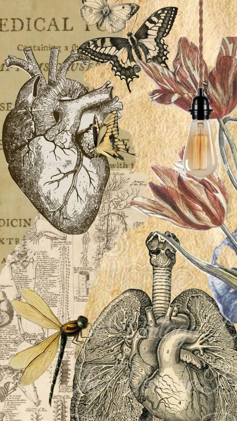 Science Respiratory System, Vintage Medical Art, Helloween Wallpaper, Medical Posters, Medical Wallpaper, Biology Art, Etiquette Vintage, Romantic Wallpaper, Notebook Cover Design