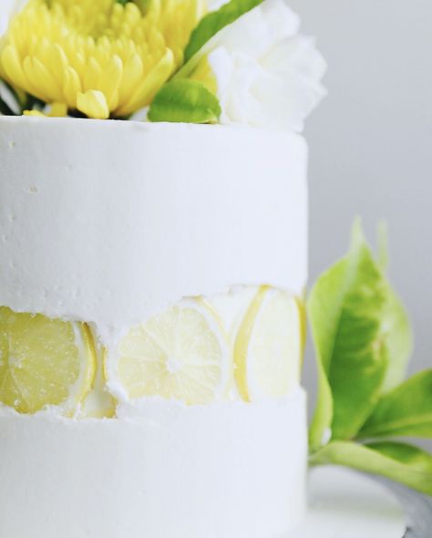 The BEST Lemon Cake Recipe (Lemon Fault Line Cake) Lemon Fault Line Cake, Best Lemon Cake, Best Lemon Cake Recipe, Lemon Velvet Cake, Lemon Cake Mix Recipe, Fault Line Cake, Lemon Cake Mix Cookies, Lemon Cake Easy, Vegan Lemon Cake