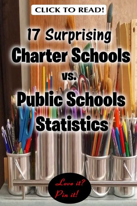 Wondering about charter school vs public school? The differences between charter schools vs public schools may surprise you. While there are epic charter schools, the rights respecting schools charter aren’t always equal. Here, we’ll look at charter schools and their enemies and why some people oppose them. Public schools vs private schools. Are public schools always better? Or are charter schools always better? #CharterSchools #EducationalFreedom #EducationalAlternatives #EducationStatistics Private School Vs Public, Rights Respecting Schools, Science Gadgets, Teaching Class, Homeschool Board, Third Grade Science, Private Schools, Charter School, Classroom Displays