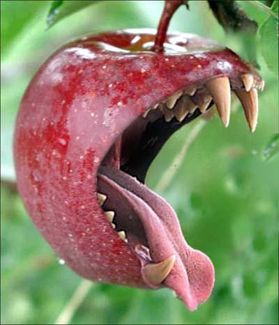 They had warned her that fruit was dangerous. _________ had taken no notice of them. Suddenly the apples began to smirk, then laugh. ________ felt a great sense of unease.  Continue writing the story. (Upper KS2 due to image) Photo Writing Prompts, Writing Pictures, Picture Writing Prompts, Picture Prompts, Bad Apple, Story Starters, Story Prompts, Creative Writing Prompts, Ideas Patio