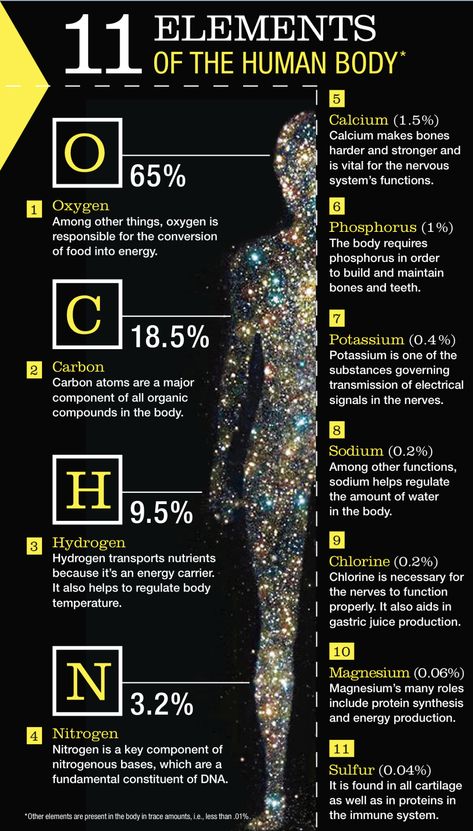 Human Body Facts, Astronomy Facts, Basic Anatomy And Physiology, Interesting Science Facts, Spiritual Psychology, Biology Facts, Sacred Science, Cool Science Facts, Spirit Science