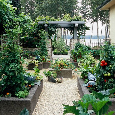 Who says your #vegetable garden can't have the same formal flair as the rest of your landscape? Gorgeous! Bed Layout, Vegetable Garden Beds, Raised Vegetable Gardens, Vegetable Garden Raised Beds, Building A Raised Garden, Veg Garden, Tomato Garden, Have Inspiration, Vegetable Garden Design